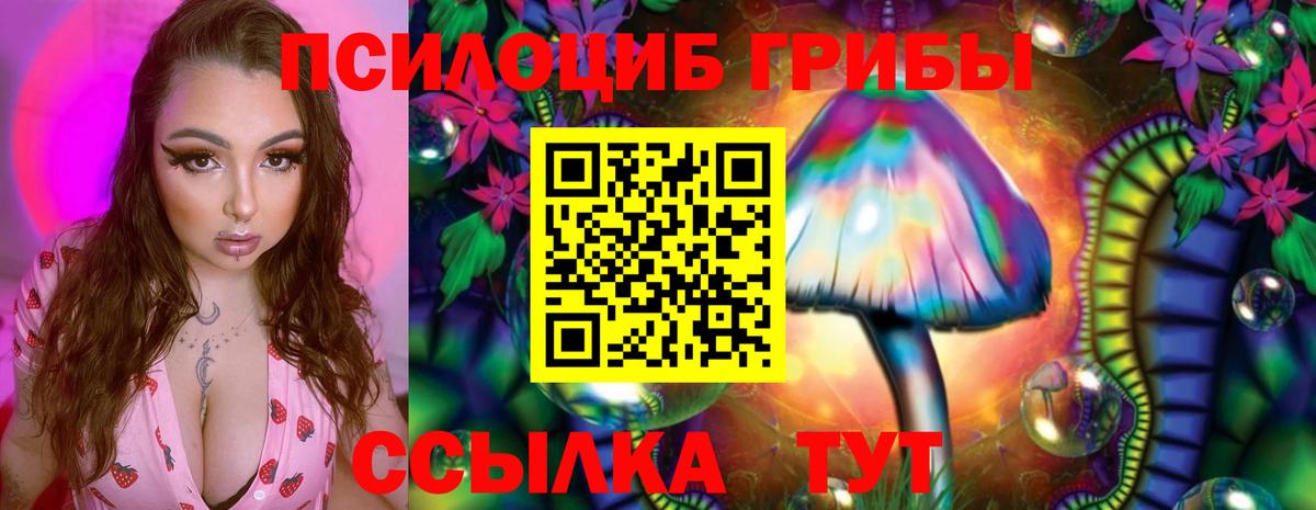 Псилоцибиновые грибы Cubensis Бугуруслан